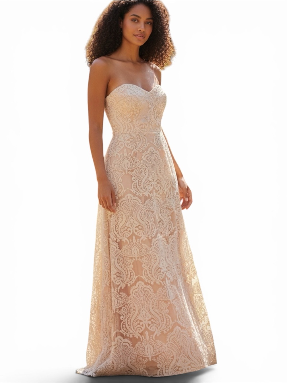 Jenny Yoo Collection Strapless Lace Gown in Blush Nude